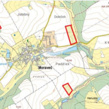 Prodej plantáže rychle rostoucích dřevin – Moraveč