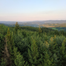 Adjunkt pro Jihomoravský kraj