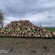 prodej kulatiny SM 4m