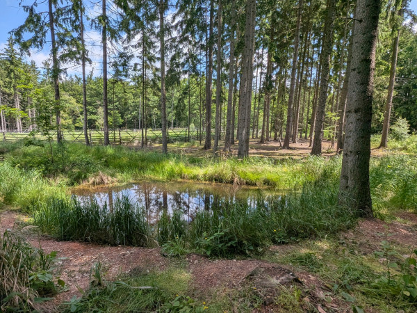 Vláda schválila plán příprav na dopady změn klimatu